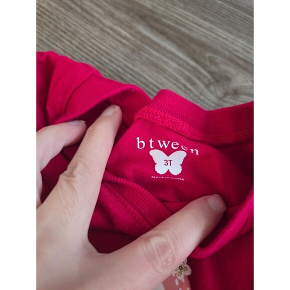 Toddler girls outfit long sleeve top gray pants size 3t - Picture 5 of 6